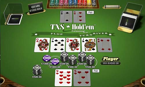 Texas Hold Em Pro