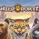 Wild North