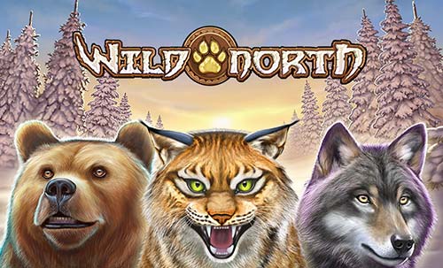 Wild-North-Slot-play-free