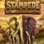 Stampede