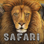 Safari