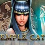 Temple Cats