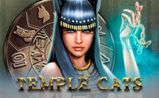 https://cdn.vegasgod.com/endorphina/temple-cats/cover.jpg