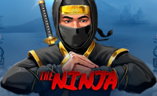 https://cdn.vegasgod.com/endorphina/the-ninja/cover.jpg