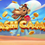 Cash Camel