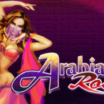 Arabian rose