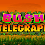 Bush Telegraph