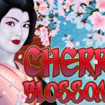 Cherry Blossoms