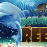 Dolphin Reef