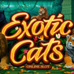 Exotic Cats