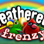 Feathered frenzy