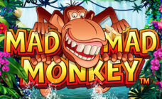https://cdn.vegasgod.com/microgaming/mad-mad-monkey/cover.jpg