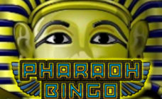 https://cdn.vegasgod.com/microgaming/pharaoh-bingo/cover.jpg