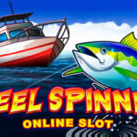 Reel Spinner