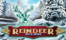 https://cdn.vegasgod.com/microgaming/reindeer-wild-wins/cover.jpg