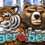 Tiger vs bear