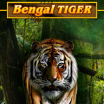 Untamed bengal tiger