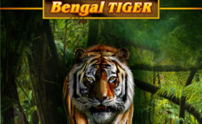 https://cdn.vegasgod.com/microgaming/untamed-bengal-tiger/cover.jpg