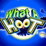 What a hoot