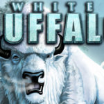 White buffalo