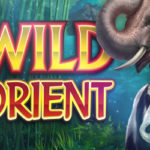Wild Orient