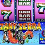 Zany zebra