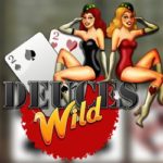 Deuces wild 1 hand