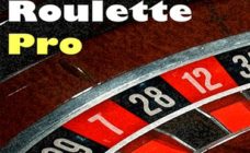 https://cdn.vegasgod.com/netent/european-roulette-pro/cover.jpg