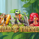Wild Turkey
