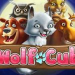 Wolf cub