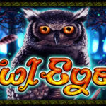 Owl eyes