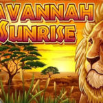 Savannah sunrise