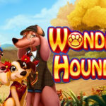 Wonder hounds