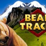 Bear Tracks
