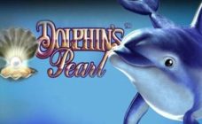 https://cdn.vegasgod.com/novomatic/dolphins-pearl/cover.jpg