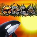 Orca