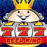 Reel king