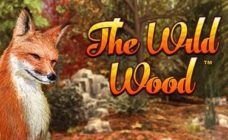 https://cdn.vegasgod.com/novomatic/the-wild-wood/cover.jpg
