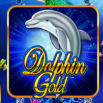 Dolphin Gold