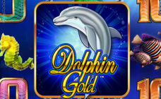 https://cdn.vegasgod.com/nyx/dolphin-gold/cover.jpg