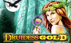 https://cdn.vegasgod.com/nyx/druidess-gold/cover.jpg