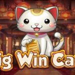 Big win cat