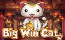 https://cdn.vegasgod.com/playngo/big-win-cat/cover.jpg