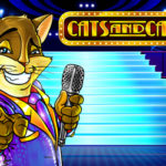 Cats and cash