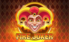 https://cdn.vegasgod.com/playngo/fire-joker/cover.jpg