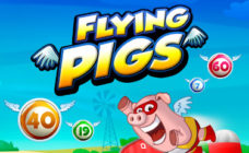 https://cdn.vegasgod.com/playngo/flying-pigs/cover.jpg