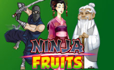 https://cdn.vegasgod.com/playngo/ninja-fruits/cover.jpg