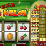 Wild Melon