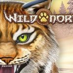 Wild North