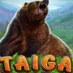 Taiga